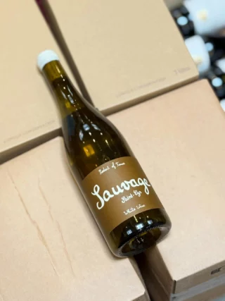 Instagram post from basin_marot. This post is in position 3.