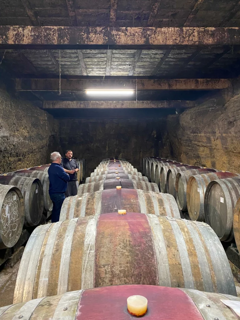 Instagram post from basin_marot. This post is in position 2.